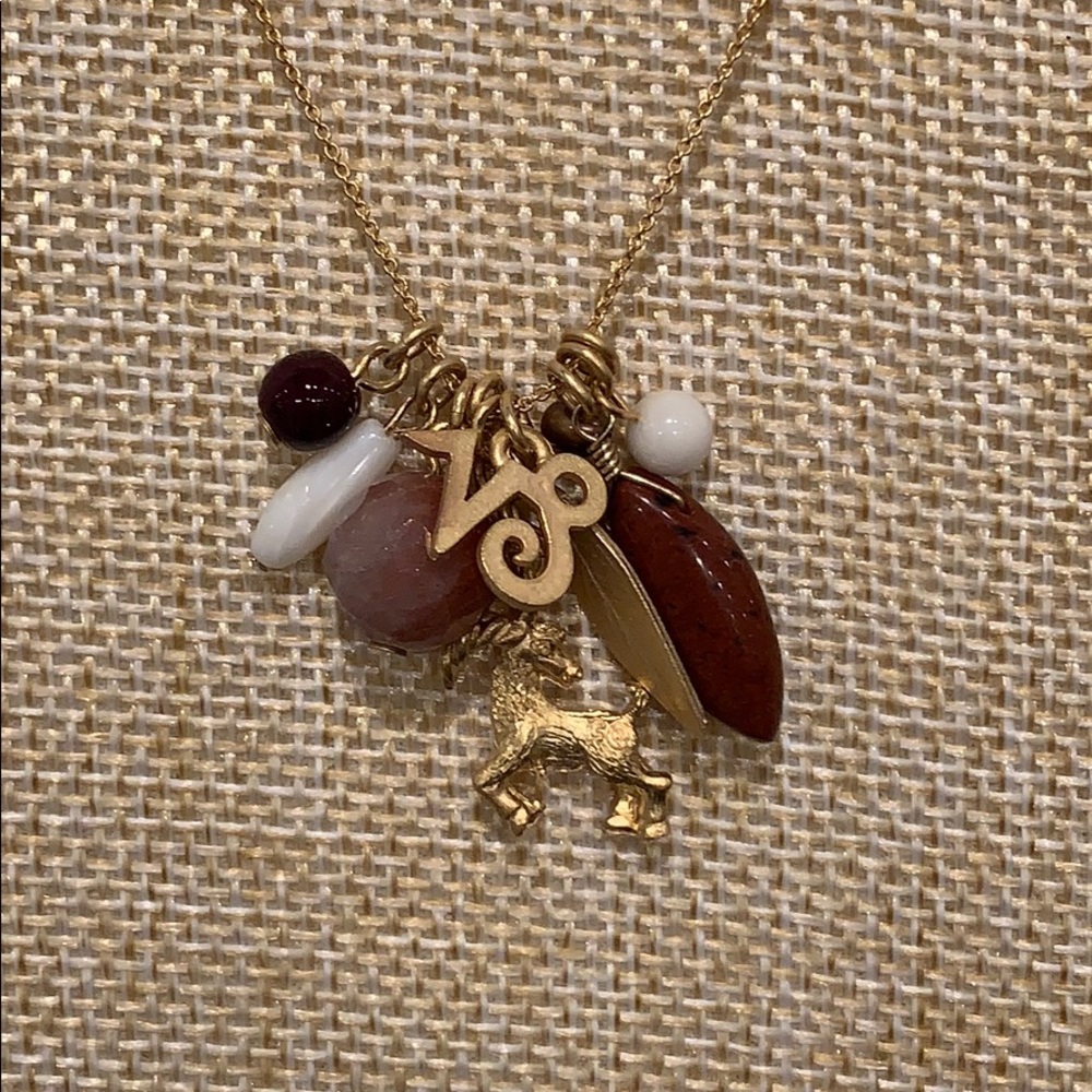 Capricorn ♑️ Zodiac Charm Necklace